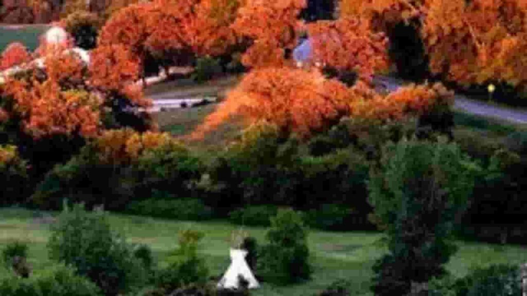 Maynard City Minnesota