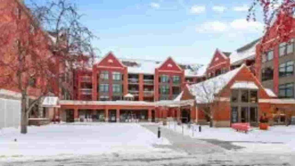 Bejou City Minnesota